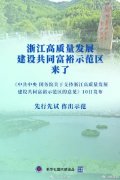 中央放大招：共同富裕示范区来了！