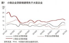 中国银行国际金融研究所所长：如何